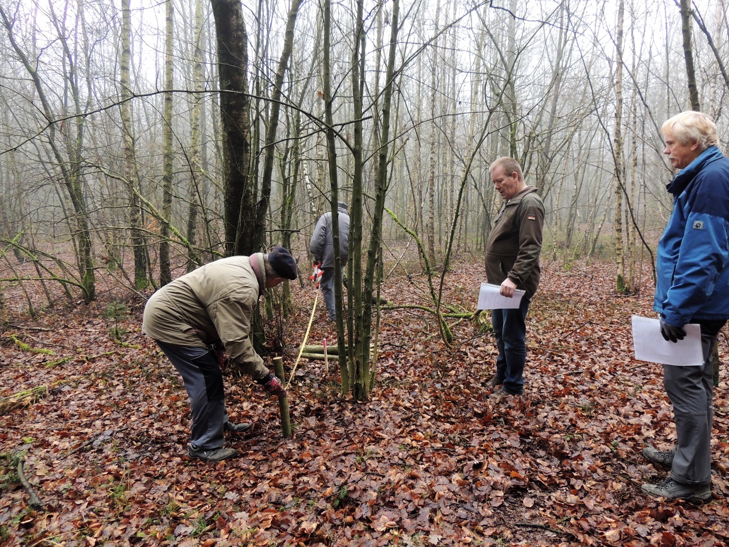 Vier Männer in einem Wald trennen einen Bereich mit Seilen ab.