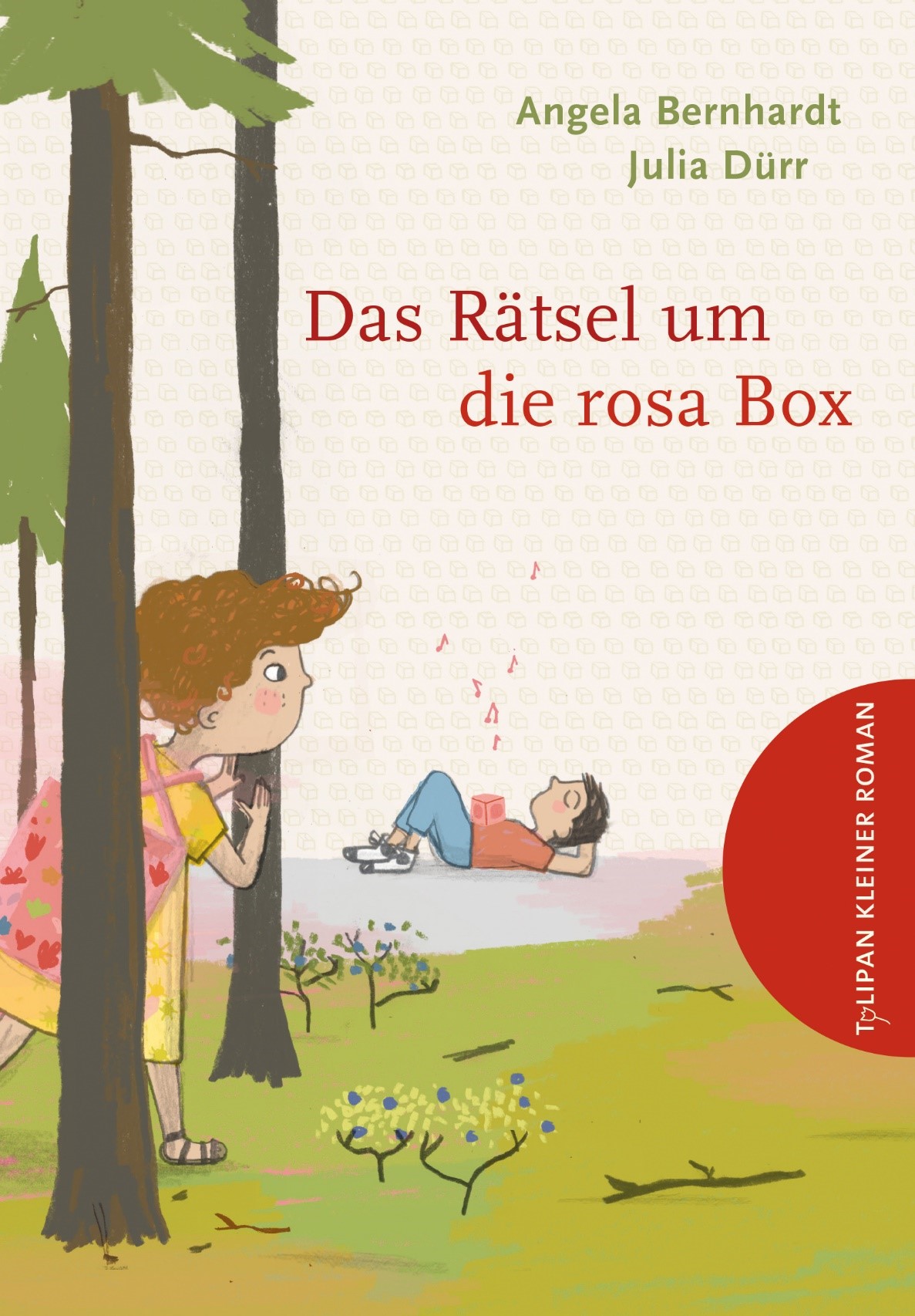 Einband: Das Rätsel um die rosa Box