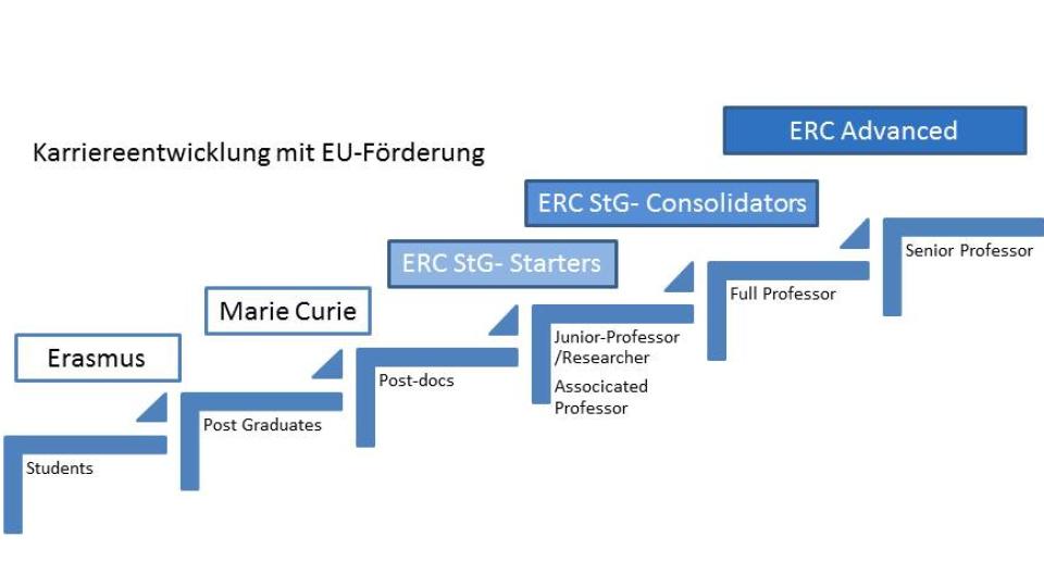 Stufen der Europäischen Karriereförderung