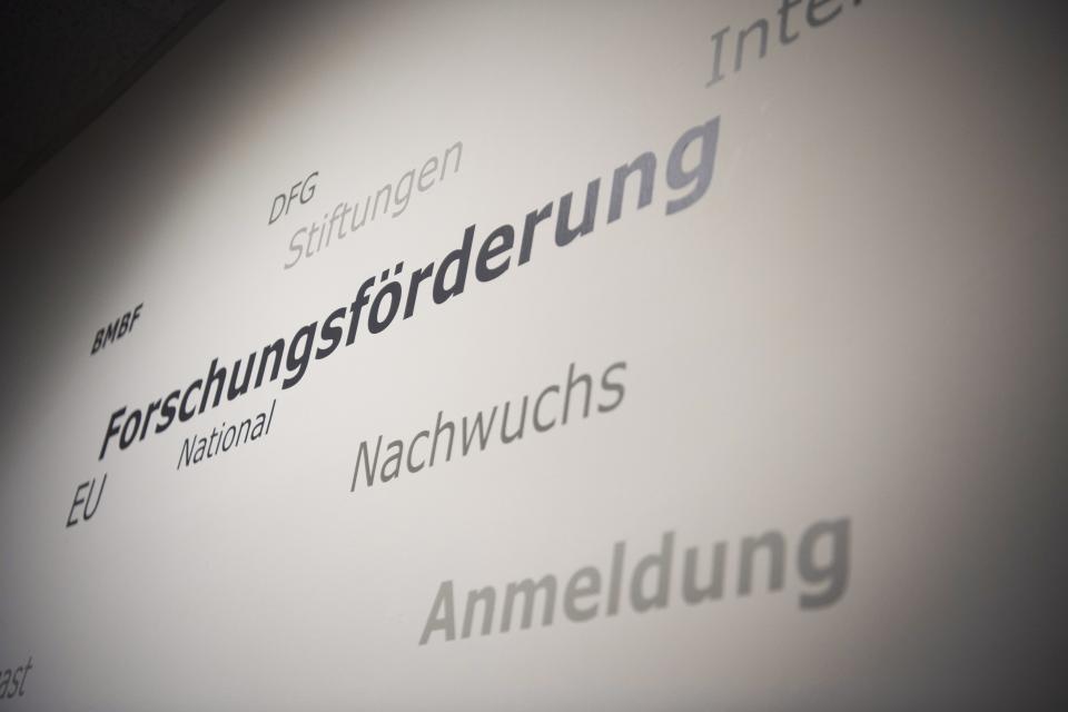 Wörter an einer Wand, im Zentrum steht "Forschungsförderung"